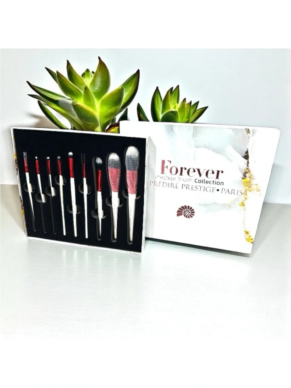 Predire brush collection complete 12